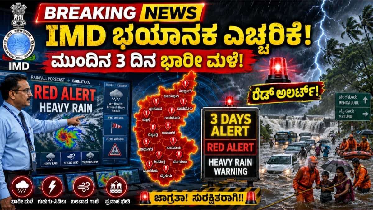 Rain Alert